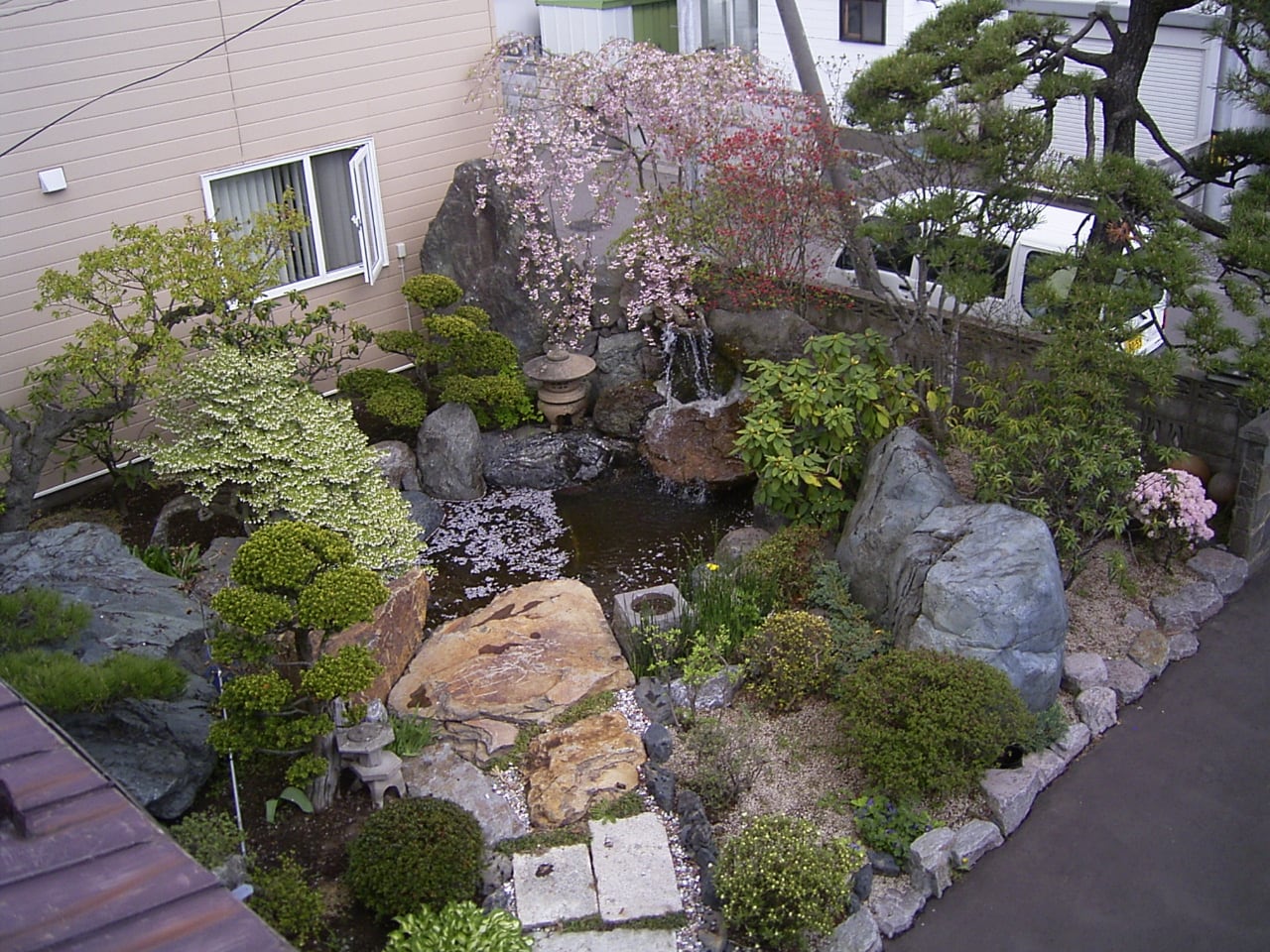 桜 庭 に 植える