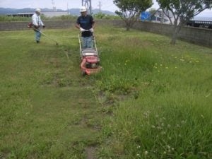 芝刈り、除草