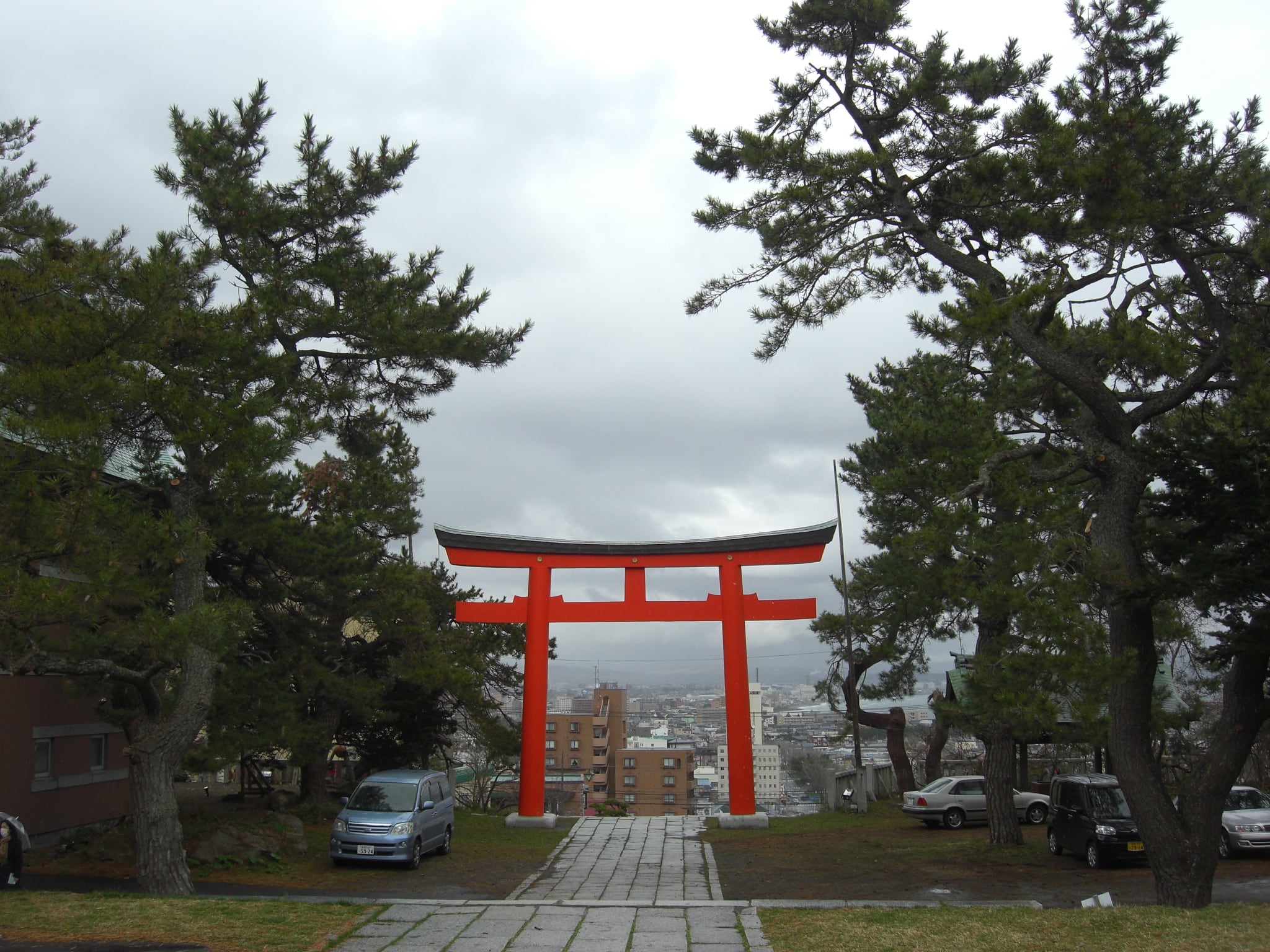 函館護国神社　マツ枝降ろし作業